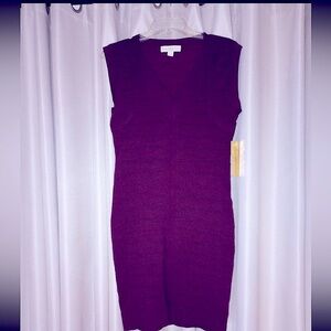 Nicki Minaj Size Large Burgundy V-Neck Feminine Bodycon Minimalist Dress NWT